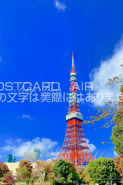 【日本の観光地ポストカード】「Tokyo Tower」晴れの日の東京タワーのハガキ　photo by MIRO