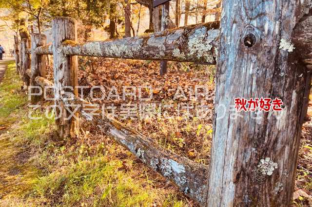 【おしゃれなポストカード】「秋が好き」紅葉の華厳の滝付近の葉書　photo by MIRO