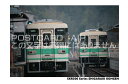 【鉄道のポストカード】「SKR300 Series SHIGARAKIKOHGEN」信楽高原鉄道300系の葉書 ハガキ photo by MIRO