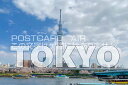 【観光地ポストカード】「TOKYO」東京スカイツリーのある景色隅田川ハガキ　photo by MIRO