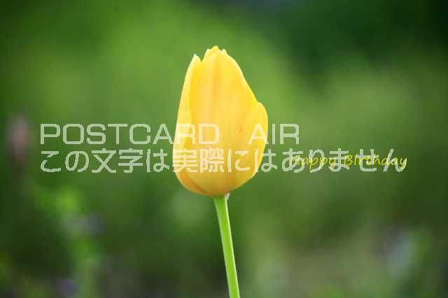 ݥȥAIR㤨֡ΤˤݥȥɡۡHappy Birthdayײ塼åսϥphoto by MIROפβǤʤ165ߤˤʤޤ