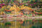 【日本の風景ポストカード】群馬県草津白根山弓池のはがきハガキ葉書 撮影/photo by SHIGERU MURASHIGE