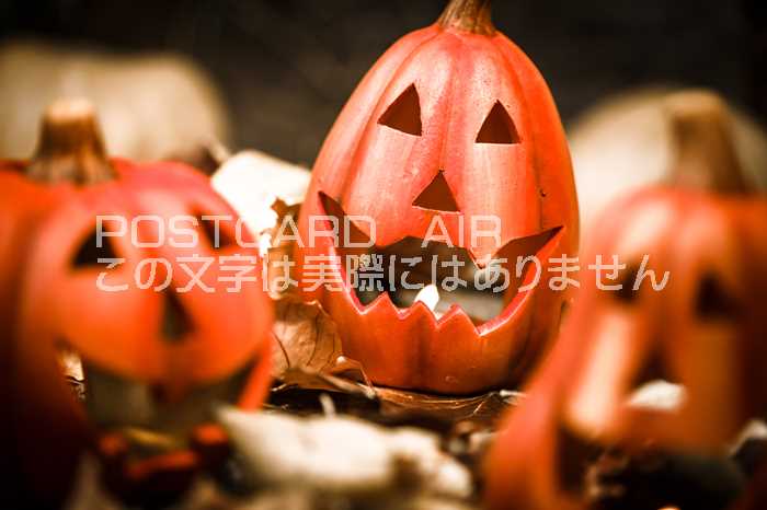【季節のポストカード】　パンプキン　ハロウィン　カボチャ　かぼちゃ　葉書ハガキ