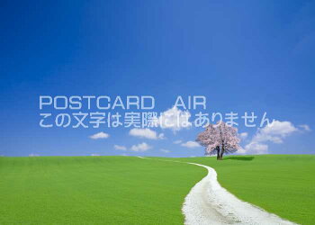 【限定販売ポストカード】桜の木が立つ方へ向かう道青空の下ハガキはがき絵葉書