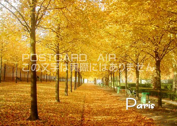 Rakuten - 【世界の観光地ポストカードAIR】「Paris」美しい紅葉 紅葉の道 ハガキはがき絵葉書【限定販売】