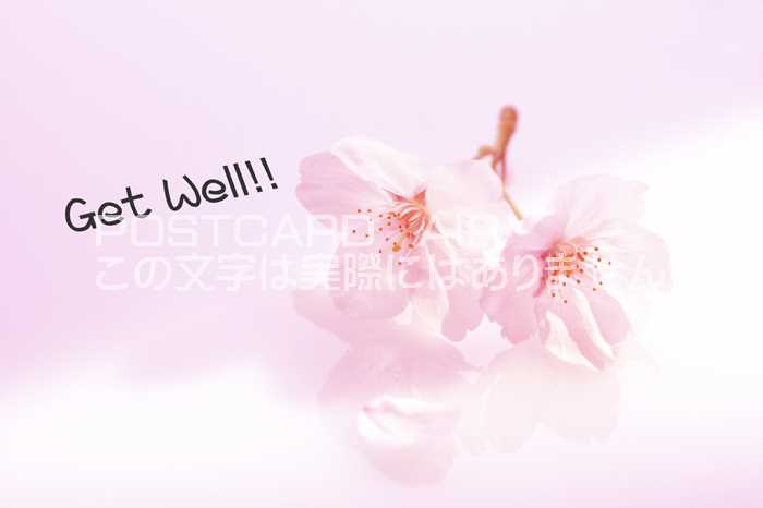 ڸդݥȥAIRۡGet Well ׽դκսϤϥ