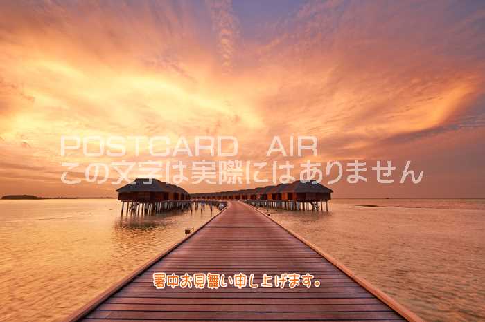 ݥȥAIR㤨֡ڸꡦƤΰݥȥɡֽۡ椪񤤿夲ޤͼ뺢Υ꥾ȥӡ ΥϥϤսפβǤʤ165ߤˤʤޤ