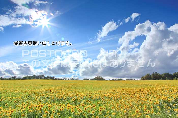 ݥȥAIR㤨֡ڸƤλĽ븫񤤥ݥȥɡֻۡĽ뤪񤤿夲ޤ׸ҥޥҤޤս ϤϥפβǤʤ165ߤˤʤޤ