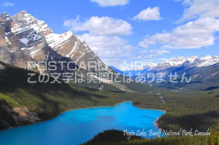 【カナダの風景ポストカード】地名入り「Peyto Lake, Banff National Park Canada」バンフ国立公園ペイト湖のハガキ葉書