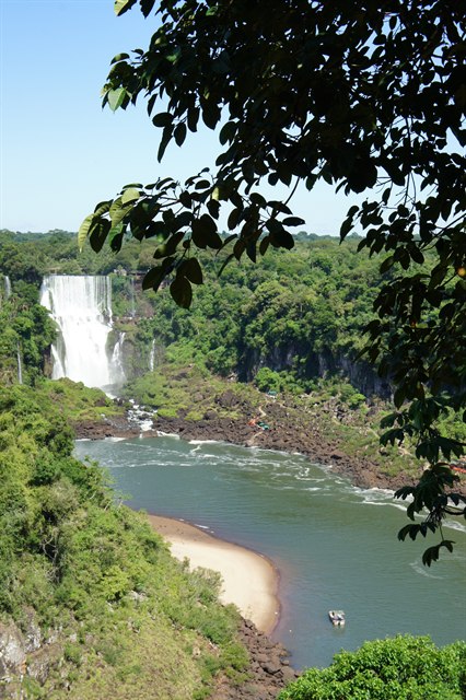 【ブラジルの風景ポストカード】ブラジル　イグアスの滝　逆光に黒く沈む葉むらと明るく光る川面　はがき お土産 ハガキ　撮影/WATANABE