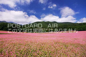 【日本の風景ポストカードのAIR】長野県 上伊那郡箕輪町赤そばの里のポストカード葉書はがき Photo by絶景.com