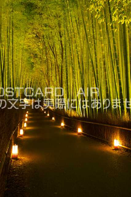 京都府 京都市右京区嵐山　京都嵐山花灯路のポストカード葉書はがき　Photo　by絶景.com