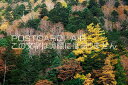 上長野県 松本市 上高地 高地の秋のポストカード葉書はがき Photo by絶景.com
