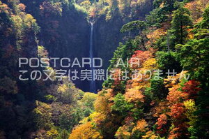 大分県 玖珠郡九重町 紅葉の震動の滝のポストカード葉書はがき Photo by絶景.com