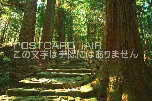和歌山県東牟婁郡那智勝浦町　熊野古道 大門坂のポストカード葉書はがき　Photo　by絶景.comのサムネイル
