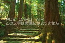 和歌山県東牟婁郡那智勝浦町 熊野古道 大門坂のポストカード葉書はがき Photo by絶景.com