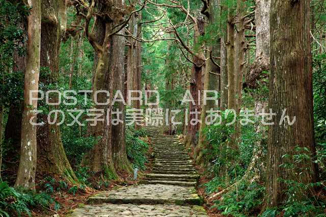 和歌山県 那智勝浦町　世界遺産 熊野古道のポストカード葉書はがき　Photo　by絶景.com