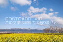 滋賀県 守山市 菜の花畑のポストカード葉書はがき Photo by絶景.com