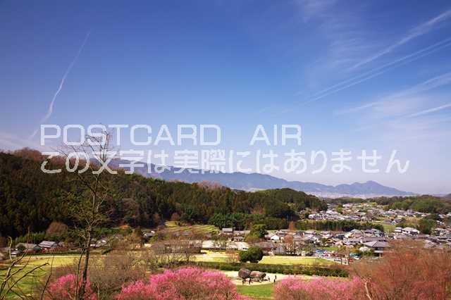 奈良県 明日香村　春の石舞台古墳のポストカード葉書はがき　Photo　by絶景.com