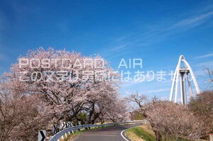 愛知県 一宮市 ツインアーチ138と桜のポストカード葉書はがき Photo by絶景.com