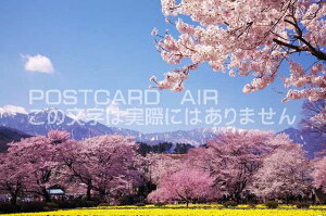 山梨県 北杜市武川町 実相寺の桜と南アルプスのポストカード葉書はがき Photo by絶景.com