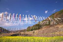 山梨県 北杜市高根町 こいのぼりのポストカード葉書はがき Photo by絶景.com