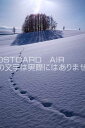 北海道 上川郡美瑛町 雪の中の木のポストカード葉書はがき Photo by絶景.com