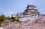 兵庫県 姫路市 国宝 姫路城のポストカード葉書はがき Photo by絶景.com 110円