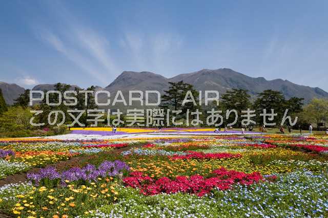 大分県 竹田市　くじゅう花公園のポストカード葉書はがき　Photo　by絶景.comのサムネイル