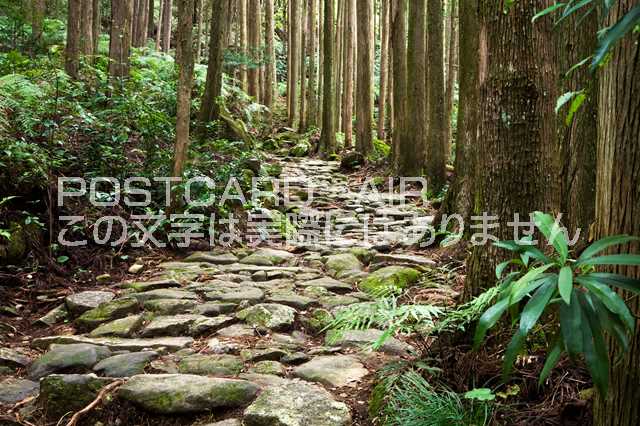 三重県 尾鷲市　世界遺産熊野古道 馬越峠のポストカード葉書はがき　Photo　by絶景.com