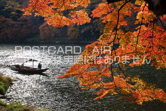 京都府 京都市右京区　嵐山の紅葉と舟遊びのポストカード葉書はがき　Photo　by絶景.com