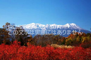 長野県木曽郡木曽町 ブルーベリーの紅葉と御嶽山のポストカード葉書はがき Photo by絶景.com