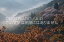 奈良県 吉野山 世界遺産 吉野山のポストカード葉書はがき Photo by絶景.com 110円