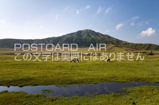 【ポストカードAIR風景】熊本県 阿蘇郡南阿蘇村 阿蘇の草千里のポストカード葉書はがき　Photo　by絶景.com