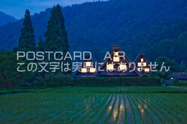 【ポストカードAIR風景】岐阜県 大野郡白川村 水田と合掌造