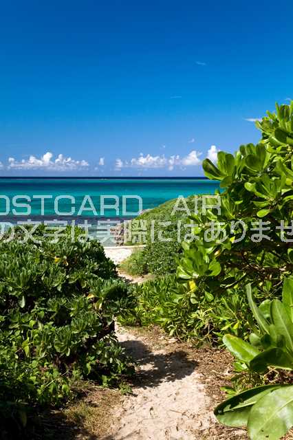 【ポストカードAIR夏風景】沖縄県 宮古島市海へと続く小道のポストカード葉書はがきハガキ　Photo　by絶景.com