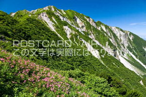 【ポストカードAIR夏風景】鳥取県 西伯郡大山町高山植物咲く夏の大山のポストカード葉書はがきハガキ　Photo　by絶景.com