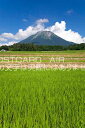 【風景ポストカードAIR】鳥取県 西伯郡伯耆町夏の大山