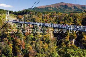 【日本の風景ポストカードのAIR】大分県 玖珠郡九重町 紅葉に染まる秋の九重夢大吊橋のポストカード葉書はがきハガキ Photo by絶景.com
