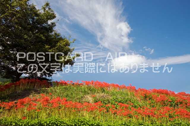 ݥȥAIR㤨֡ܤʥݥȥɤAIRɸ ֺ߲餯֤ΥݥȥսϤϥPhotoby.comפβǤʤ165ߤˤʤޤ