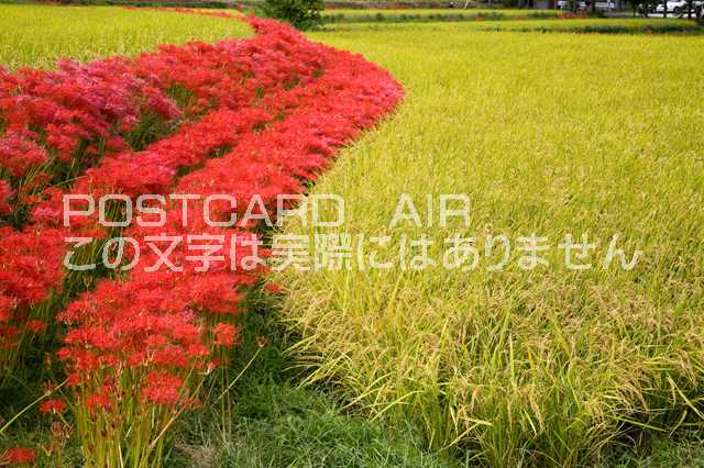 ݥȥAIR㤨֡ܤʥݥȥɤAIRɸ ߲֤κ餯ıΥݥȥսϤϥPhotoby.comפβǤʤ165ߤˤʤޤ