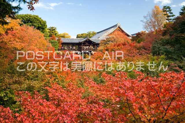 【日本の風景ポストカードのAIR】京都府 京都市東山区東福寺