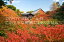 【日本の風景ポストカードのAIR】京都府 京都市東山区東福寺 通天橋の紅葉のポストカード葉書はがきハガキ Photo by絶景.com 143円