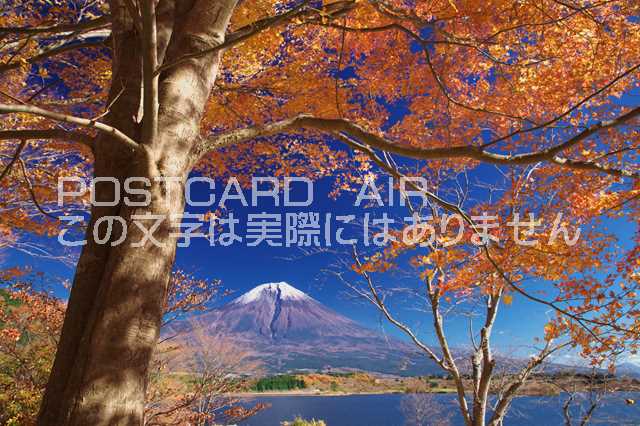 【日本の風景ポストカードのAIR】静