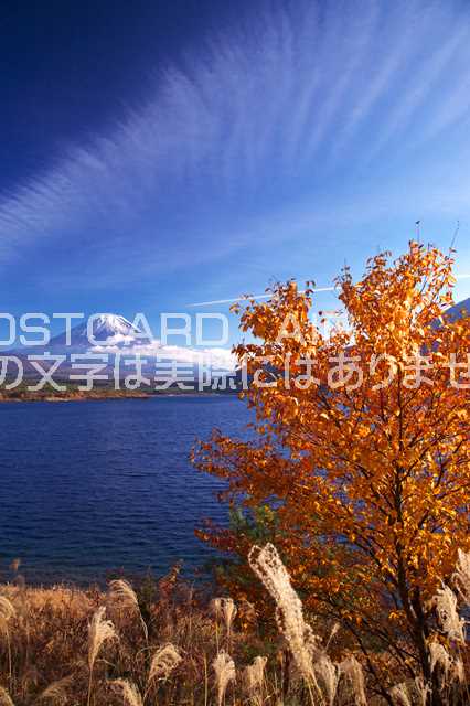 【日本の風景ポストカードのAIR】山梨県 南都留郡 富士河口湖町富士山と精進湖のポストカード葉書はがきハガキ Photo by絶景.com