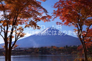 【日本の風景ポストカードのAIR】山梨県 南都留郡 富士河口湖町紅葉と富士山のポストカード葉書はがきハガキ Photo by絶景.com