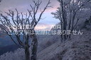【日本の風景ポストカードのAIR】奈良県 吉野郡東吉野村 高見山の樹氷のポストカード葉書はがきハガキ Photo by絶景.com
