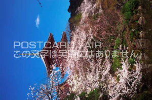 【日本の風景ポストカードのAIR】京都府京都市東山区清水寺 三重塔と桜のポストカード葉書はがきハガキ　Photo　by絶景.com