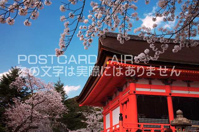 ݥȥAIR㤨֡ܤʥݥȥɤAIR۵ܵԻ컳 κΥݥȥսϤϥPhotoby.comפβǤʤ165ߤˤʤޤ