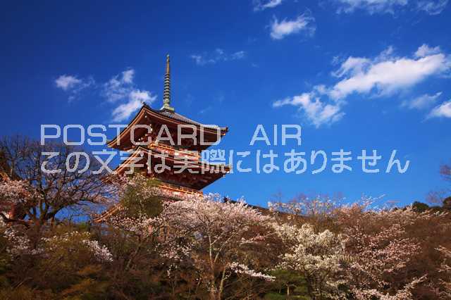 ݥȥAIR㤨֡ܤʥݥȥɤAIR۵ܵԻ컳 ȺΥݥȥսϤϥPhotoby.comפβǤʤ165ߤˤʤޤ